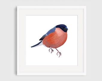 Bird, Nature, Bullfinch Illustration Giclee Print