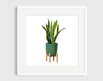 Potted House Plant Art Print, Illustrated Giclee Print