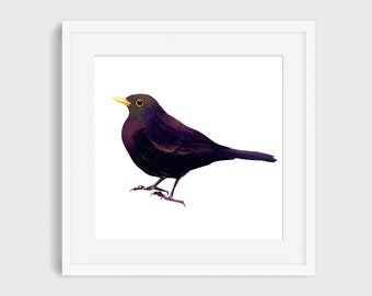 Bird, Nature, Blackbird Illustration Giclee Print