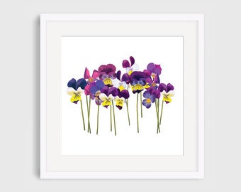 Botanical Violet Illustrated Giclee Print