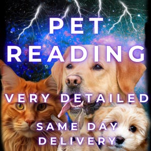 ペットの体調の読み方、ペットの体調は良いか、動物とのコミュニケーションの読み方、サイキックタロット、非常に正確で詳細な情報、ペットのアドバイス