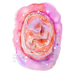 baby in the womb, baby birth, maternal uterus, pregnant woman pregnancy ultrasound maternity gift pregnancy art Natural childbirth doula art