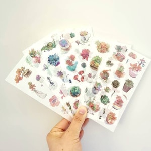 Pegatinas para planificador con suculentas en macetas, pegatinas washi de cactus, hojas washi de plantas suculentas, 6 hojas por paquete