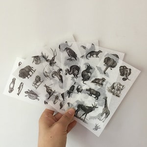 May include: A set of clear sheets with black and white illustrations of various animals, including a rhinoceros, giraffe, elephant, and a bird. The sheets are arranged in a fan shape, with the top sheet showing a bird and the bottom sheet showing a giraffe.