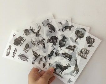 Black and White Animal Stickers, Set 6 Sheets, Planner Stickers
