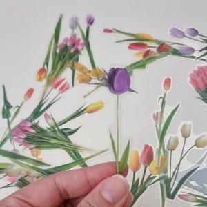 20 stuks tulpen doorzichtige sticker, tijdschriftsticker, junkjournaalkit, ephemera, bloemenstickers