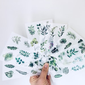 Leaves Washi Stickers, Green Leaf/Leaves Washi Stickers, Set 6 Sheets, Planner Stickers