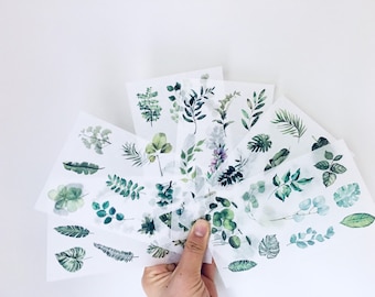 Pegatinas washi de hojas, pegatinas washi de hojas verdes, juego de 6 hojas, pegatinas para planificador