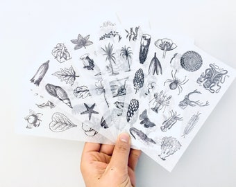 Black and White Animals Washi Stickers, Set 6 Sheets, Planner Stickers