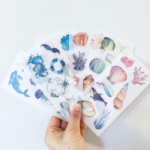 Aquarel schelpen plannerstickers, walvisstickers, dolfijnenstickers, schelpstickers, stickers zeedieren