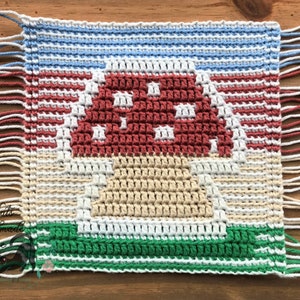 May include: A crocheted square with a mushroom design. The mushroom is red with white spots and has a beige stem. The square is made with different colored yarn, including blue, red, beige, white, and green. The edges of the square have fringe.