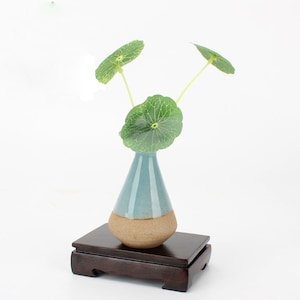 May include: A small, light blue and brown ceramic vase with a single stem of green leaves, sitting on a dark brown wooden stand.