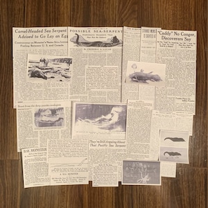 May include: A collection of vintage newspaper clippings about sea serpents. The headlines include "Camel-Headed Sea Serpent Advised to Go Lay an Egg", "Possible Sea Serpent", "They're Still Arguing About That Pacific Sea Serpent", "Strange Monster Is Sighted At Sea", and "Caddy' No Conger, Discoverers Say".