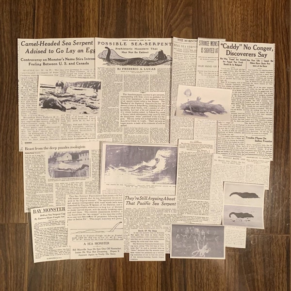 Sea Monster 21 Piece Newspaper Clippings Collection | Cadborosaurus Caddy Blobster Sea Serpent Ocean Cryptidcore Cryptid Newsprint Cutout