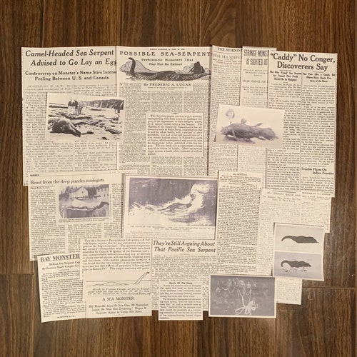 Paper Ephemera Jersey Devil Newspaper Clippings Set of 21 Cryptidcore Cabincore Cryptid