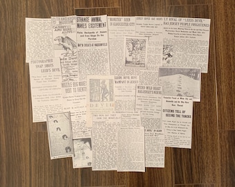 Conjunto de recortes de jornal do Jersey Devil