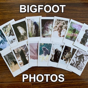 Bigfoot Mini Photo Print Collection | Film Sasquatch Cryptid Cryptidcore Aesthetic Monster Cabincore