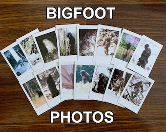 Bigfoot Mini Photo Print Collection | Film Sasquatch Cryptid Cryptidcore Aesthetic Monster Cabincore