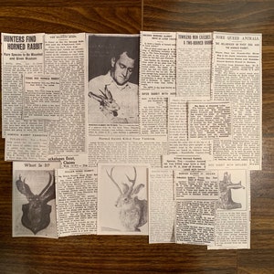 Jackalope Newspaper Clippings 21 Piece Set | Cryptidcore Cryptid Aesthetic Cutouts Collage Fearsome Critters Cabincore Legend Fable