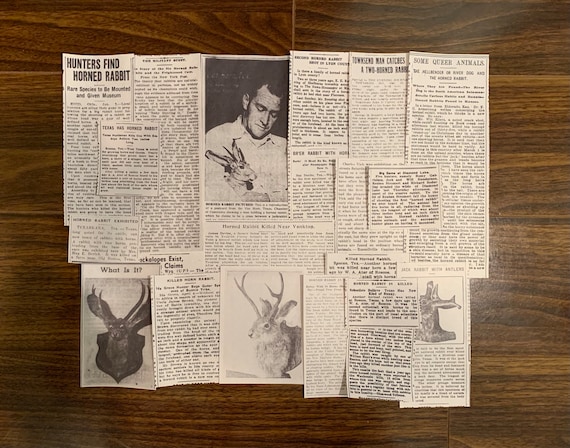 Jackalope Newspaper Clippings Set