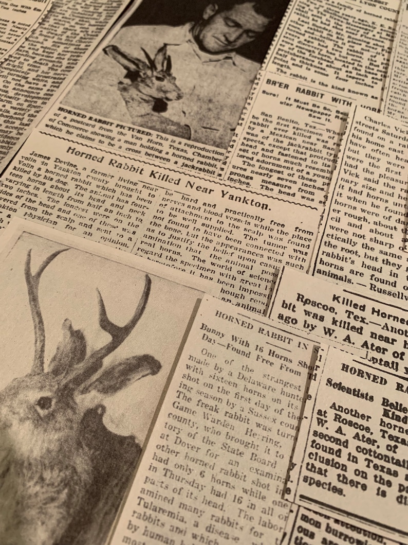 May include: A black and white newspaper clipping with the headline "Horned Rabbit Killed Near Yankton." The article describes a rabbit with 14 horns found near Volin, South Dakota. The article also includes a photo of a man holding a horned rabbit.