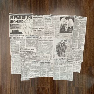 Mottenmann Zeitungsclips | 21 Stück Newsprint Cutouts Cryptidcore Cryptid Mason County Thunderbird Owlman Ästhetisches Set