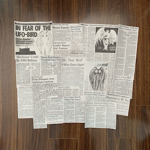 Mothman Newspaper Clippings | 21 Pieces Newsprint Cutouts Cryptidcore Cryptid Mason County Thunderbird Owlman Aesthetic Set