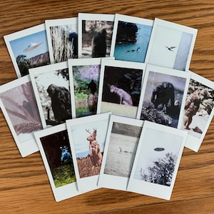 May include: A collection of Polaroid-style photographs featuring various subjects. Images include a UFO, wildlife, and possible cryptids. The photos are arranged on a wooden surface, showcasing a vintage aesthetic. The color palette is varied, with some images in color and others in black and white.