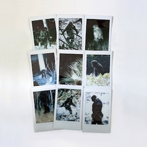 Bigfoot Mini Photo Print Collection | Film Sasquatch Cryptid Cryptidcore Aesthetic Monster Cabincore