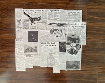 Conjunto de recortes de periódico de Thunderbird Cryptid