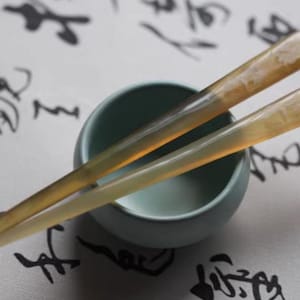 Peony 牡丹 Rare Hair Pins Traditional Chinese Horn Hairpin