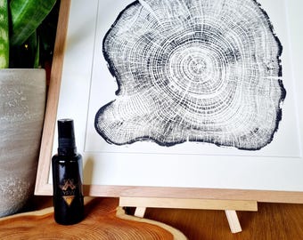 Eibenbaum Meditations Set