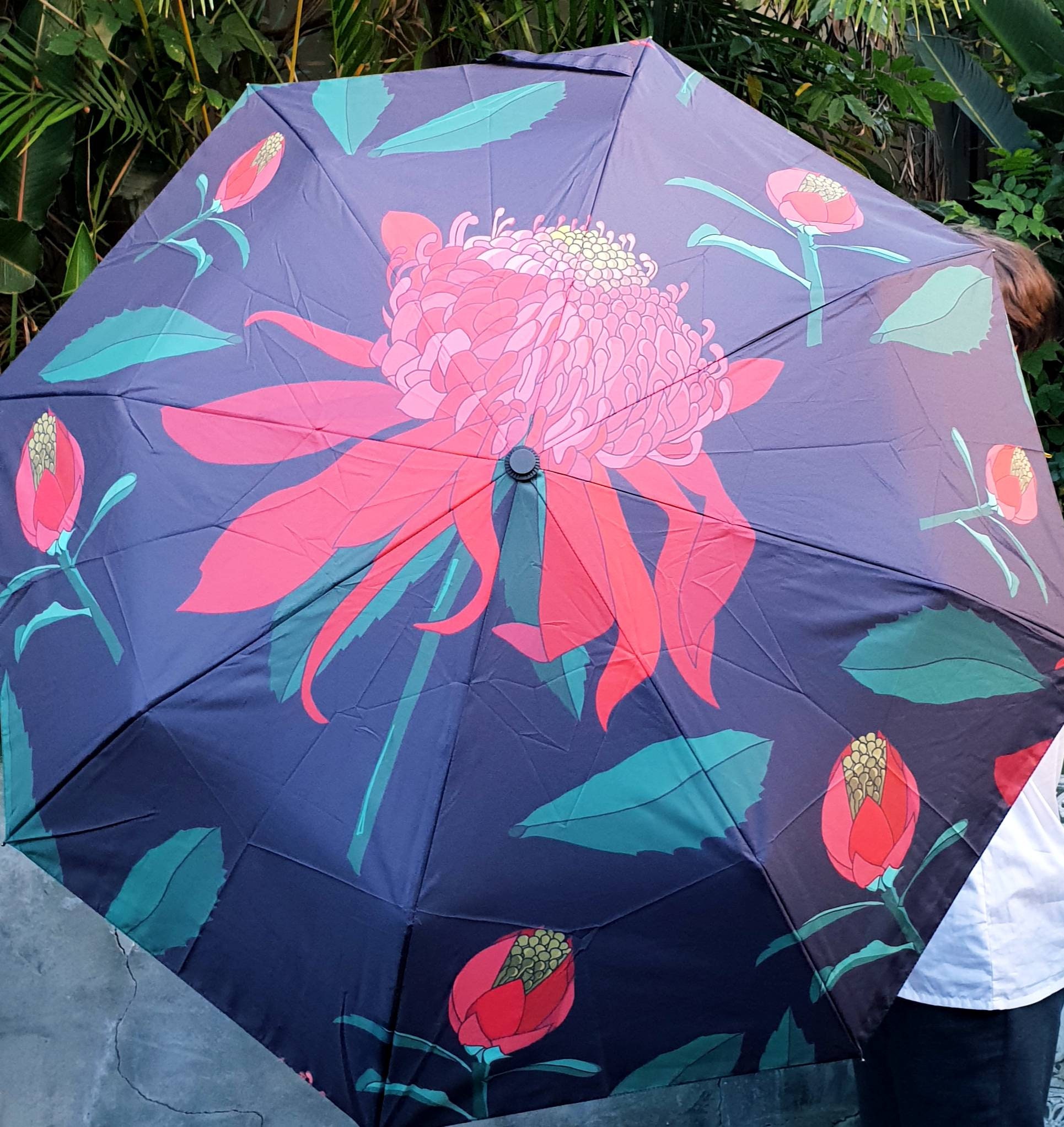 Waratah- Australian Collection- Rain Umbrella- Wildflowers design- De…