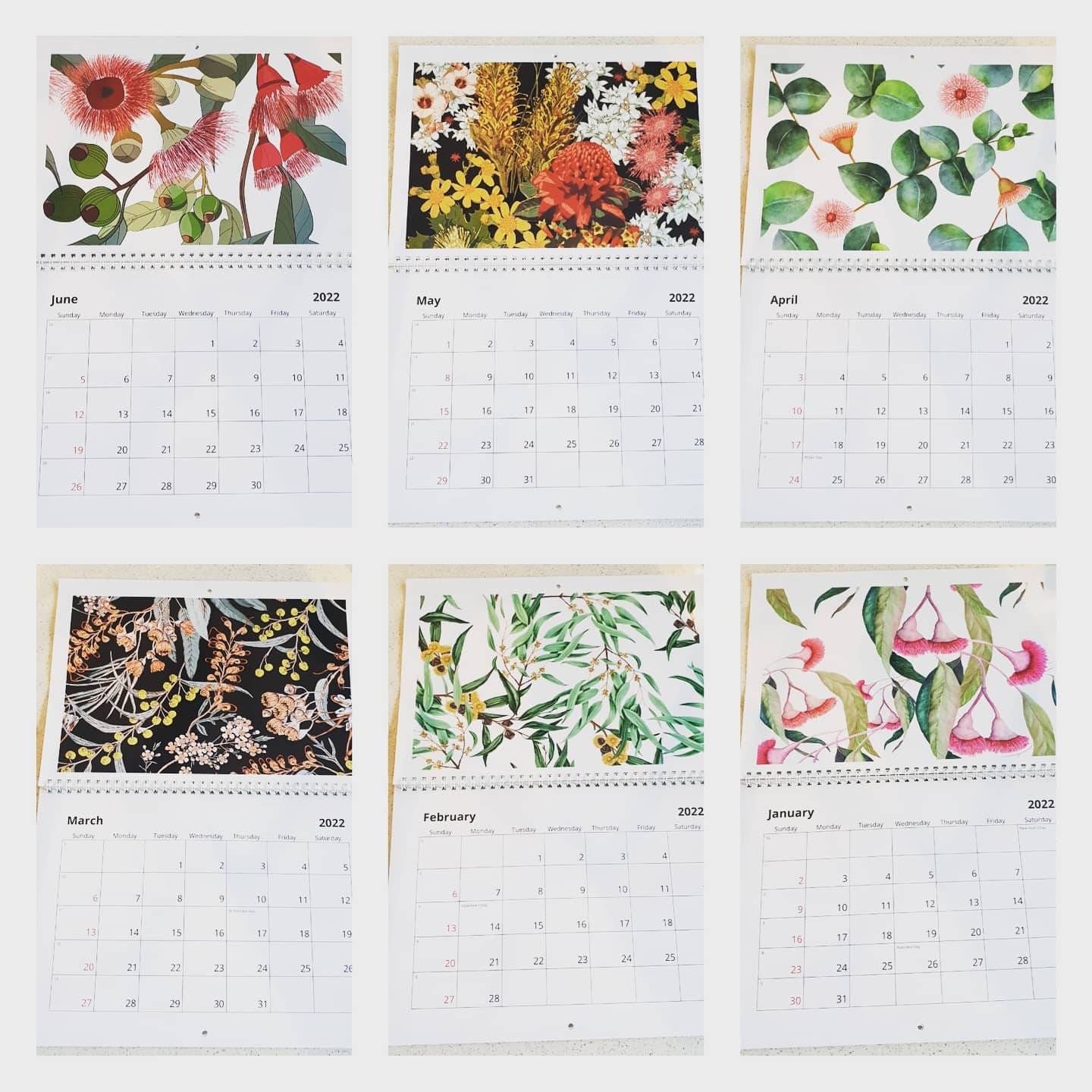 Australian Native Flora Calendar 2022 A4 Double Photo Etsy