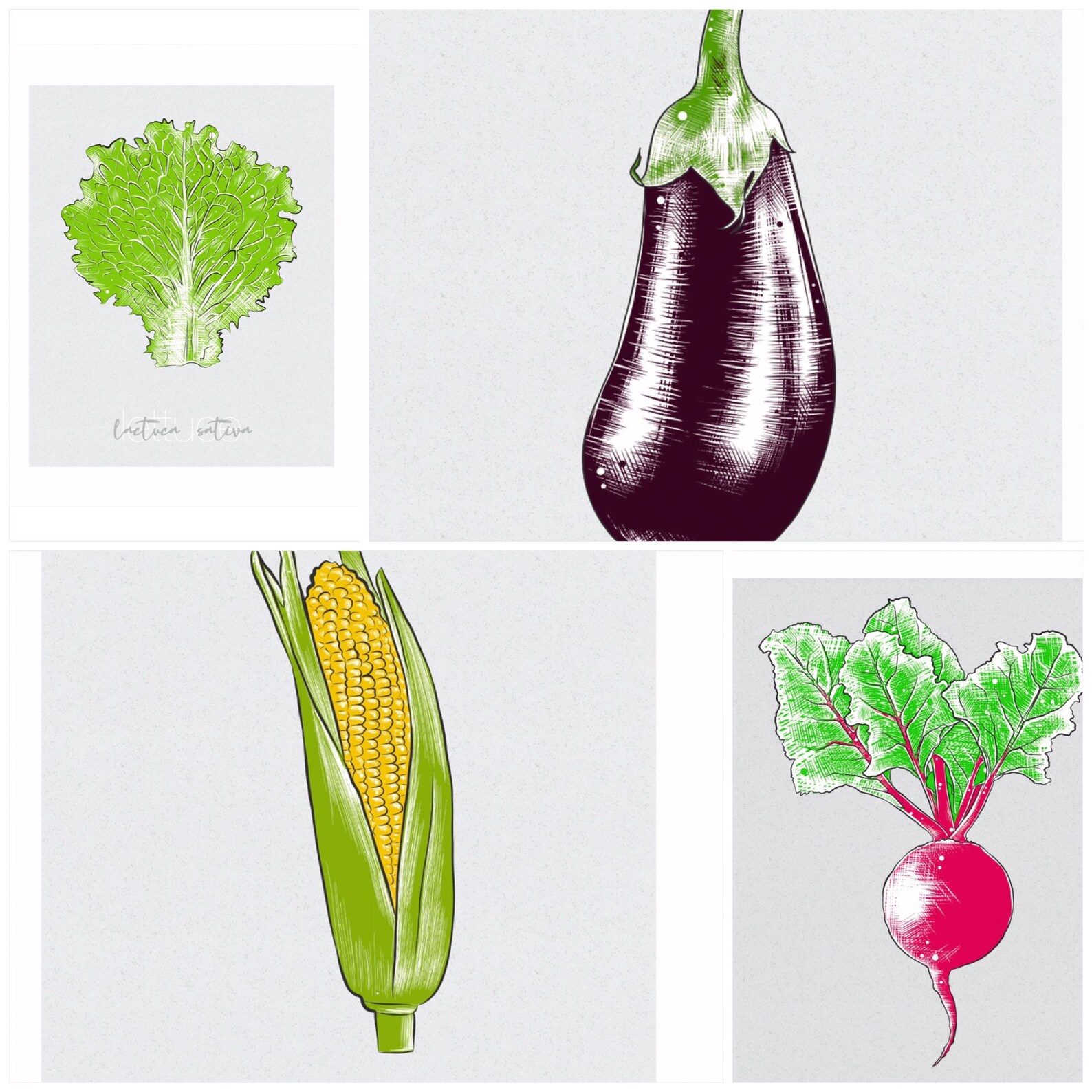 celery-kitchen-vegetable-printable-art-food-art-rustic-etsy