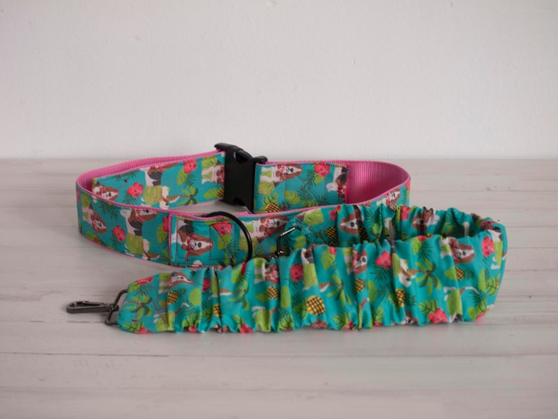 Basset Hound retractable and extendable waist leash