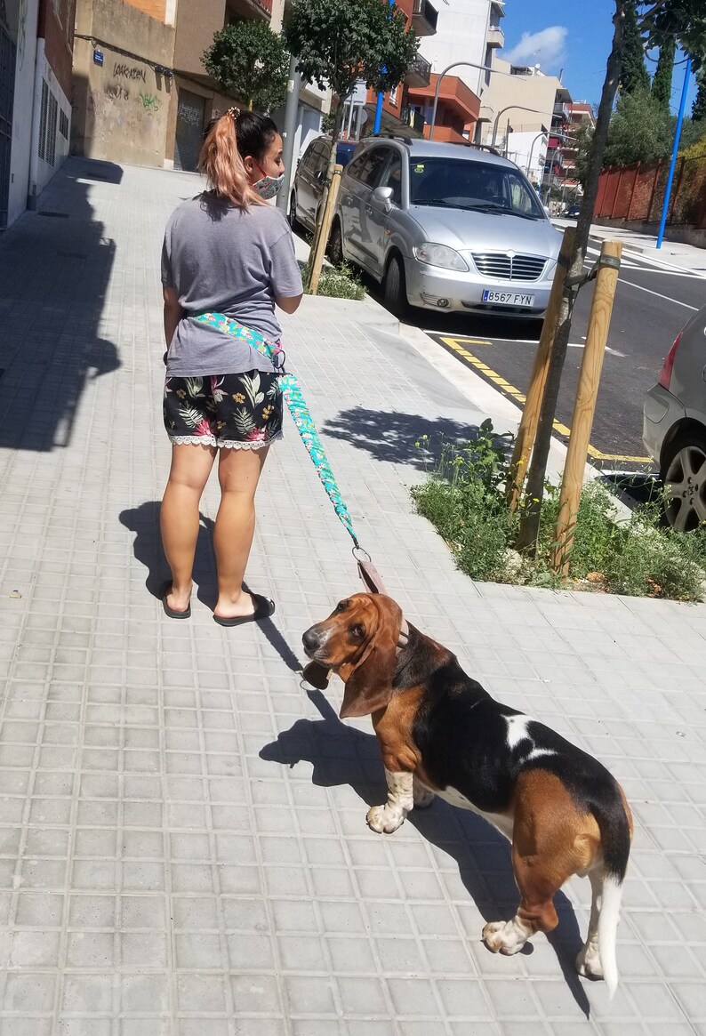 Basset Hound retractable and extendable waist leash