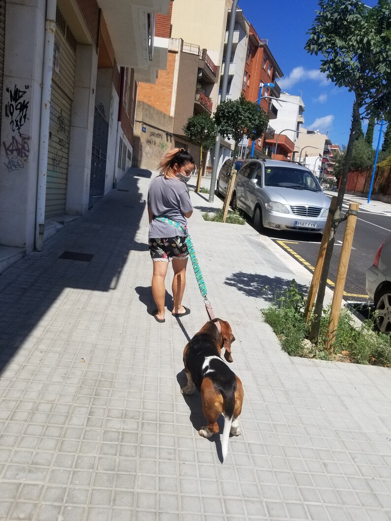 Basset Hound retractable and extendable waist leash