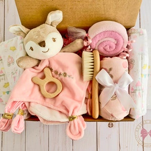 Baby Girl Gift Box, Newborn Baby Girl, Baby Shower Gift, New Baby Gift Set, Baby Girl Gift, Baby Gift Basket, Unique Baby Gift, Baby Blanket