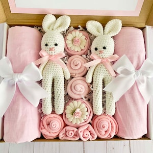Twin Baby Girl Gift, Best Newborn Baby Gift Baskets, Unique Baby Gift Baskets, Corporate Baby Gift, Baby Shower Gift