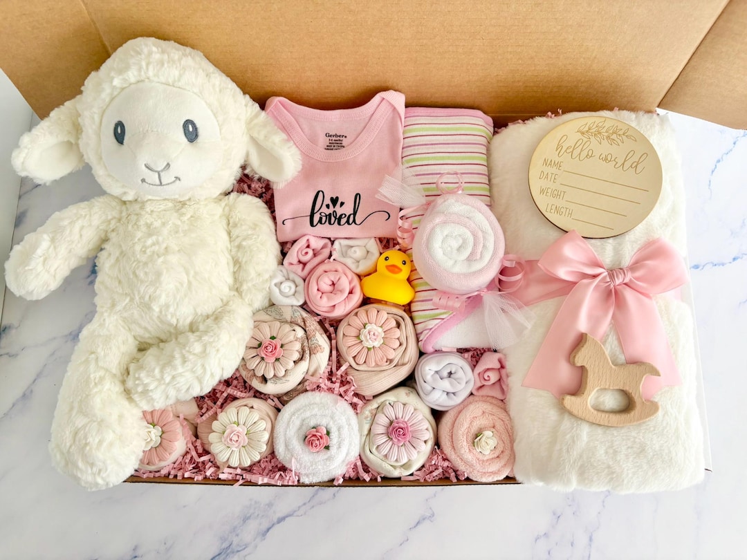 Deluxe Baby Girl Gift Box: Teddy Bear, Blanket & Book - 22 Piece Set - Etsy