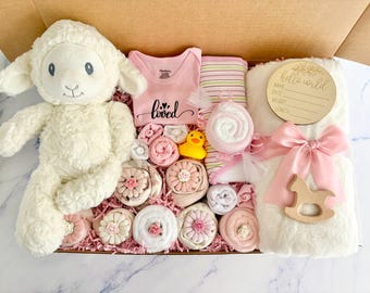 Deluxe Baby Girl Gift Box: Teddy Bear, Blanket & Book - 22 Piece Set
