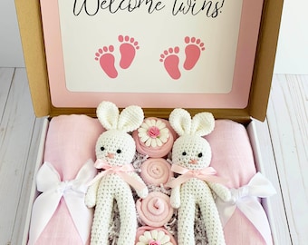 Twin Baby Girl Gift, Best Newborn Baby Gift Baskets, Unique Baby Gift Baskets, Corporate Baby Gift, Baby Shower Gift