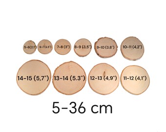 Natural Birch Wooden Slices 5 - 35 cm Wood Log Discs SALE  Round Rustic Wedding Crafts Coasters Dry One Side Sanded