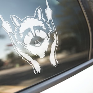 Angry Raccoon Middle Finger Car Decal, raccoon gift, funny raccoon decal