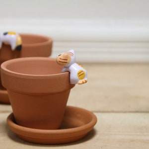 May include: Two terracotta pots with cute cat figurines on the rim. The pots have matching saucers.