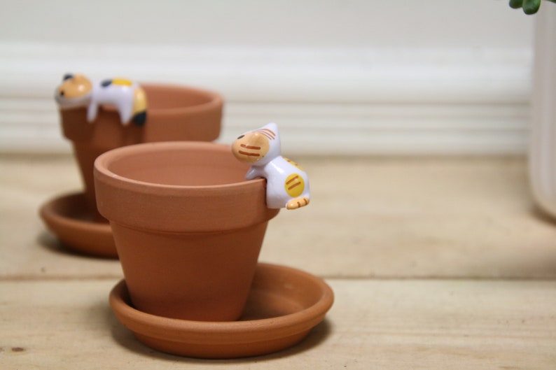 May include: Two terracotta pots with cute cat figurines on the rim. The pots have matching saucers.
