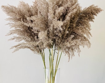Extra Large Dried Fluffy Feather Reed Grass 24" long Cane Stem Grass Pampas Flower Bouquet Arrangement Centerpiece