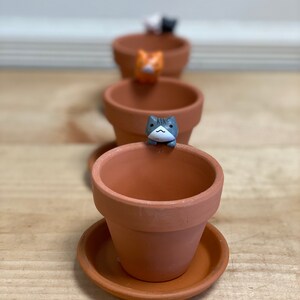 May include: Four terracotta pots with small cat figurines on top. The pots are arranged in a row, with the cat figurines facing the viewer. The pots are all the same size and shape, and they have a brown glaze.