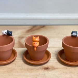 May include: Three terracotta pots with saucers, each featuring a small ceramic cat figurine. The cats are in different colors: white and black, orange and white, and gray and white.